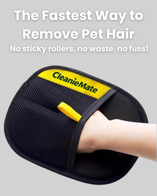 CleanieMate - Your Shortcut to a Fur-Free Home