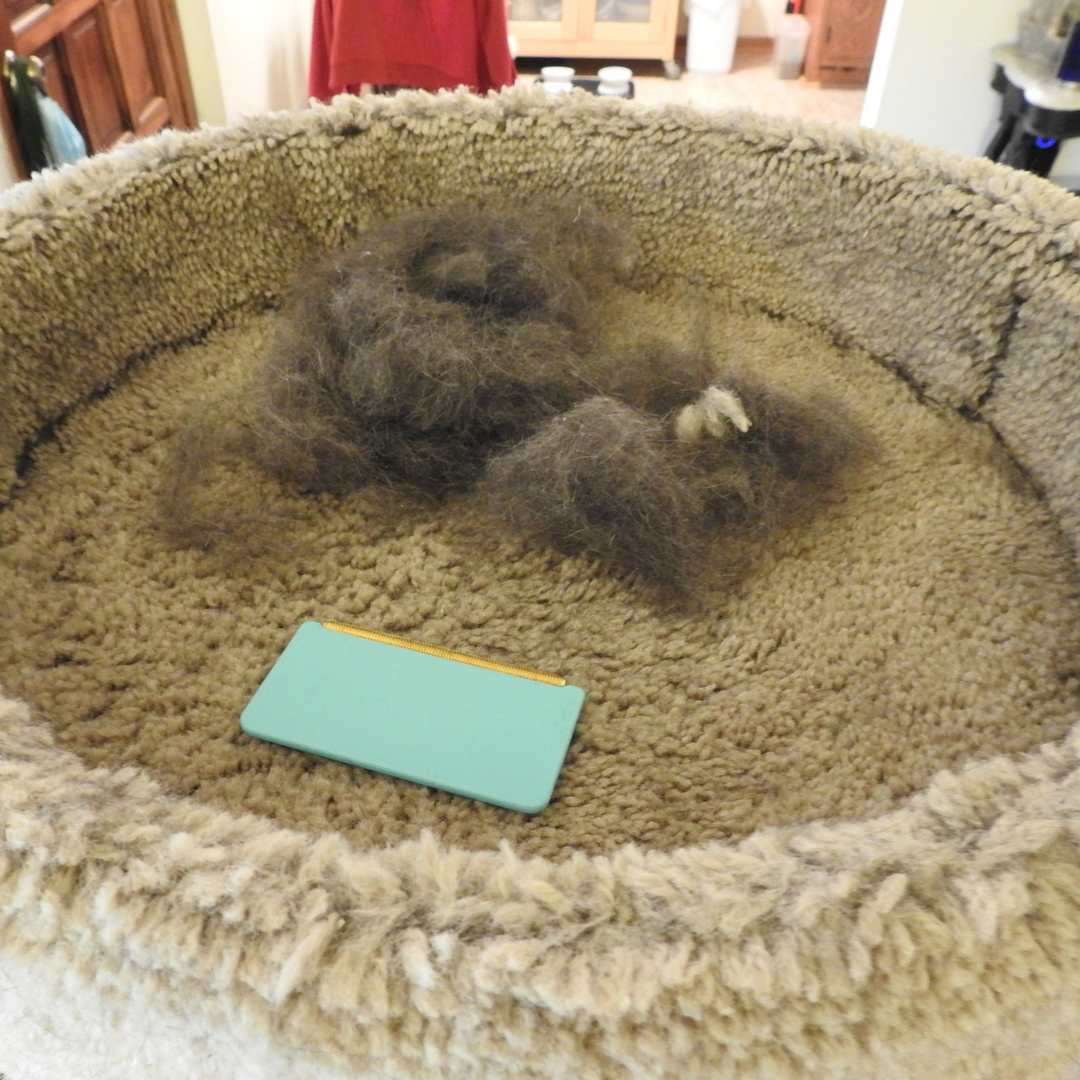 Effective Fur-Free Starter Kit- CleanieMate Mini, Pro & Xtra