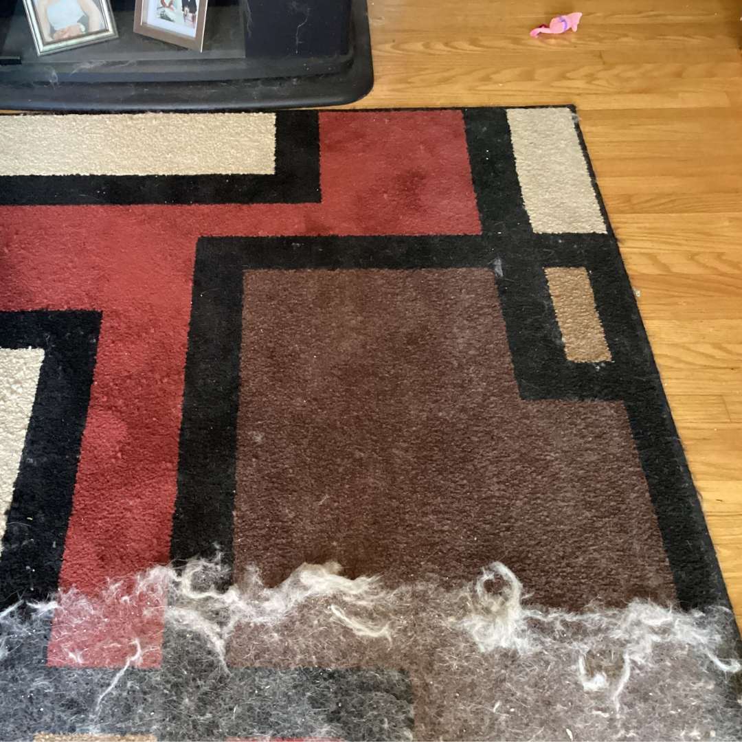 Effective Fur-Free Starter Kit- CleanieMate Mini, Pro & Xtra